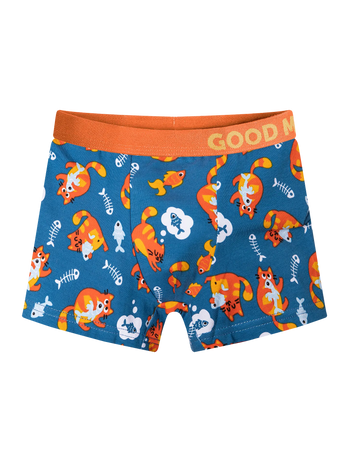 Boxers rigolos pour garçons Chats et poisson