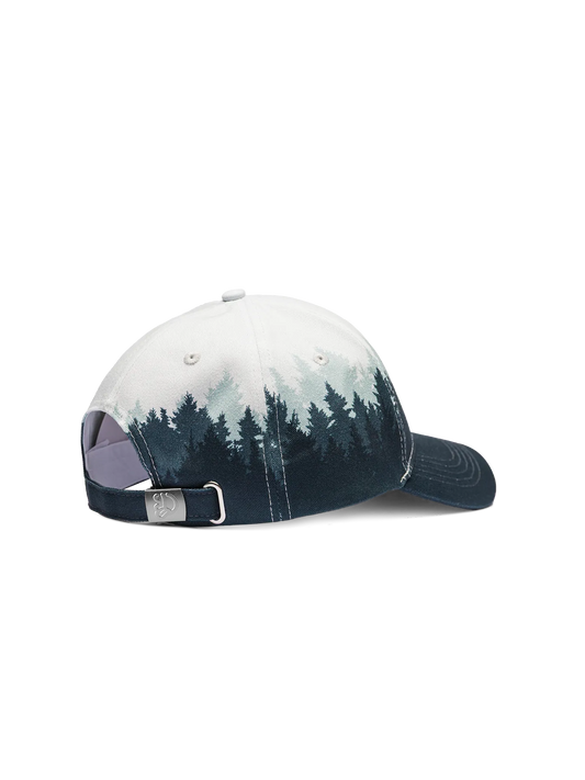 cap-cold-forest-c9/c9628e0931194606b56bb997a84618df09e22ac0