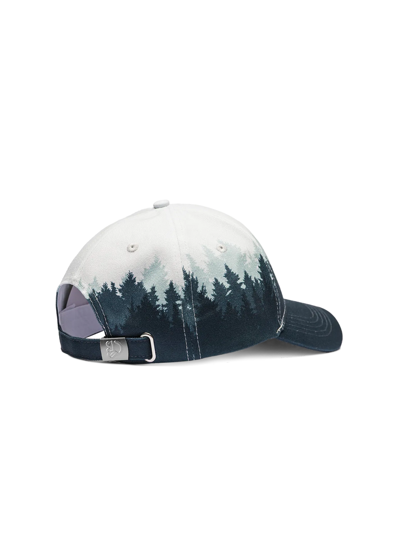 cap-cold-forest-c9/c9628e0931194606b56bb997a84618df09e22ac0