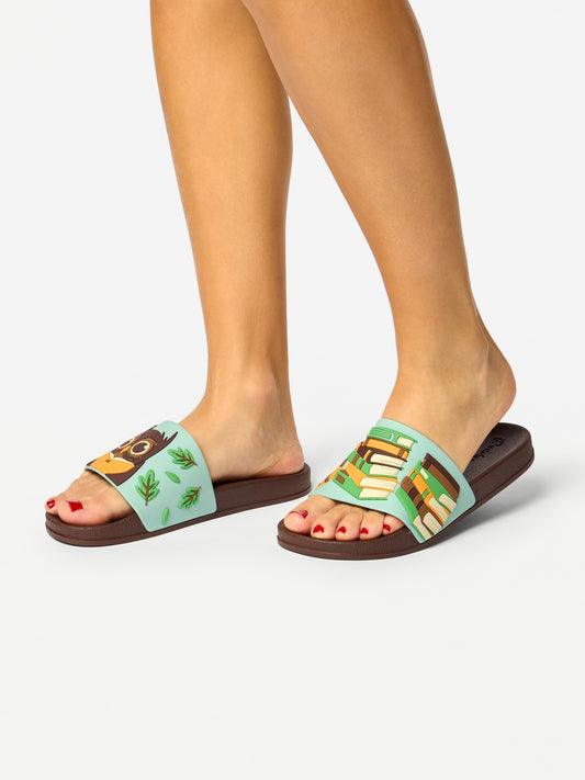 slides-owl-books-d1/d11c7b505b2dcc00cb4f5696b654b3c9c88413d2