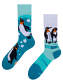 regular-socks-penguins-d3/d30cd1d43e4bfaf9bc609176f5d1aabe961258e0