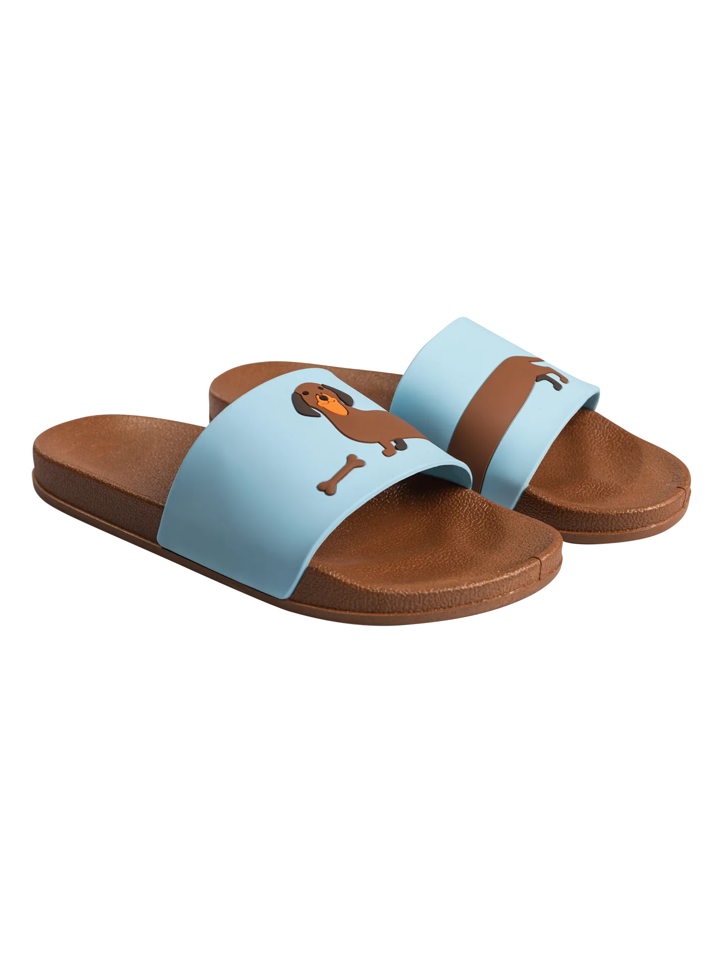 kids-slides-long-dachshund-d3/d358dace0a0f4ac76ca15e2f3dfbd0760a0762d4