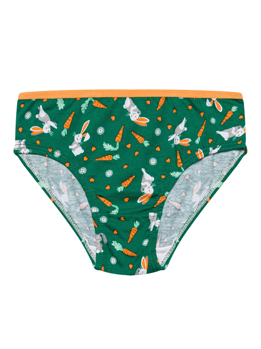 girls-briefs-rabbit-and-carrot-dc/dc958c16a3f42299c67e3da947d964d641c3796e