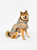 Manteau de pluie pour chien Meute de chiens