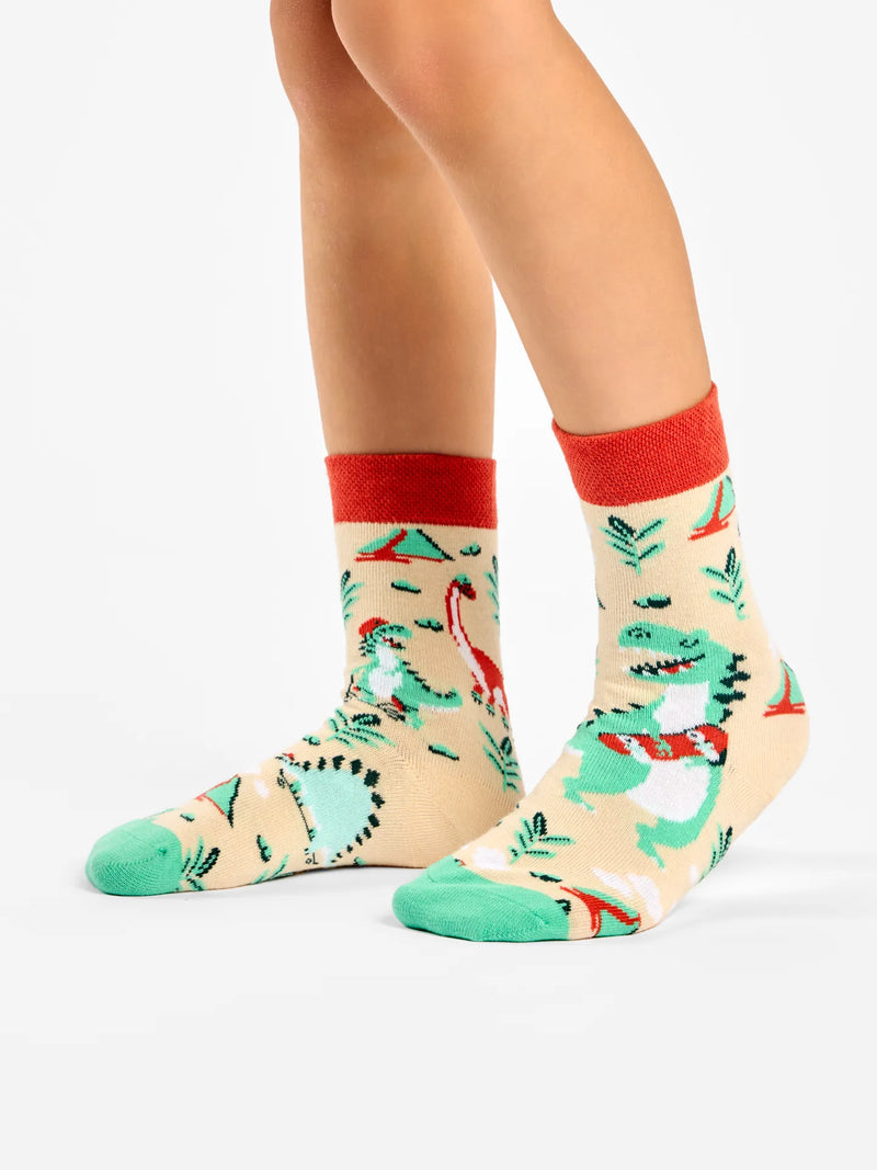 kids-socks-dino-skatepark-eb/eb328b82c0b9be2b2bd5c8e0c204b8e3aeb41b1f