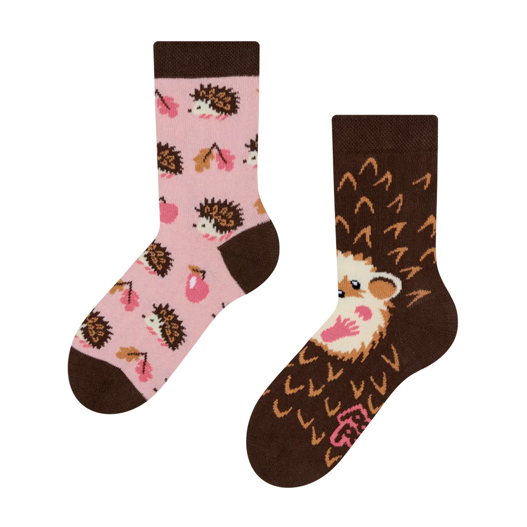 kids-socks-hedgehog-ec/ec606d8bc29695a4e2d94f4a6b62a60507bdb535