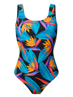 one-piece-swimsuit-bird-of-paradise-26/269d8dd6544674bef5299d776352ec1f373596aa