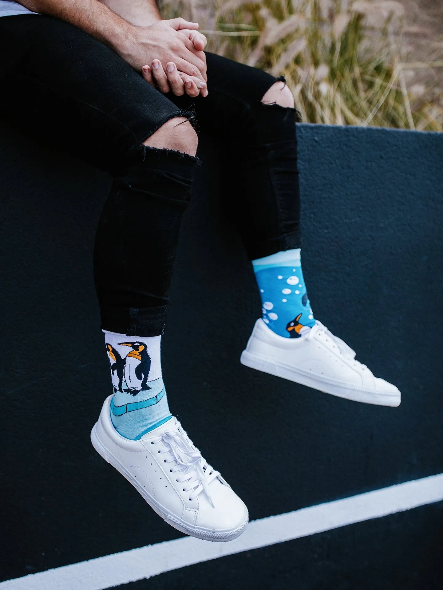 regular-socks-penguins-f1/f157dbebfcd1ff6f44f6911cea8c7a29b617e557