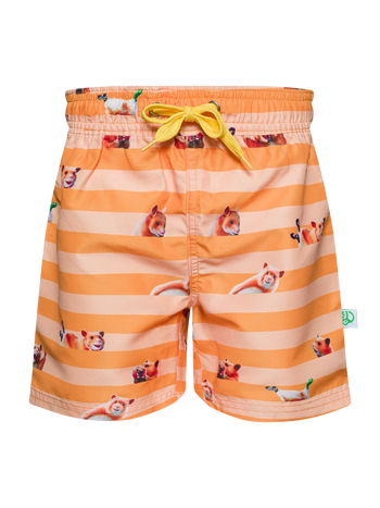 Short de bain rigolo pour garçons Hamster et rayures