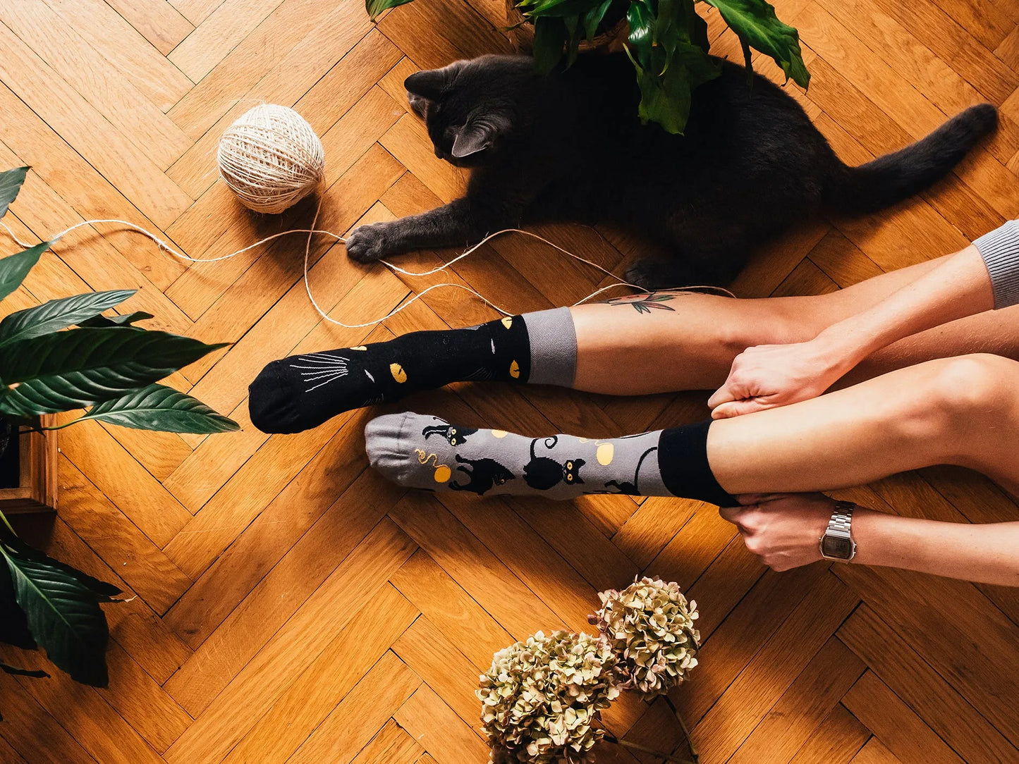 regular-socks-cat-eyes-fa/fa75814f16f1234c633a9adb8503245517e059d8