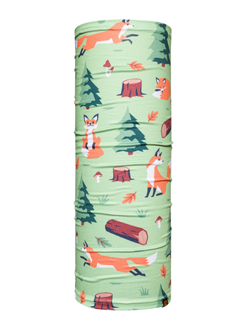 Cache-cou rigolo Renard dans la forêt