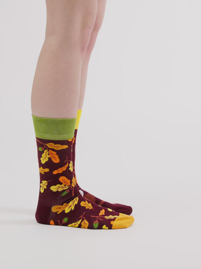 Chaussettes rigolotes Hibou curieux