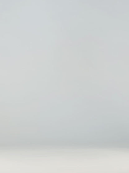 Chaussettes rigolotes Loup hurlant à la pleine lune