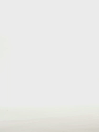 Chaussettes chaudes rigolotes Renard pelucheux