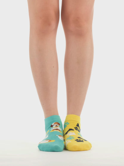 Socquettes rigolotes Chien heureux